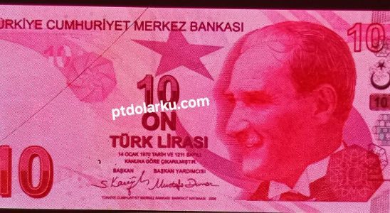 Money Changer menerima pembelian Lira Turki